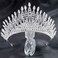 Aceorna Baroque Crowns and Tiaras Crystal Bride Wedding Queen Crowns for Brides and Bridesmaids Rhinestones Silver Tiara Decorative Bridal Princess Tiaras Hair Accessories for Women and Girls.