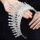 Aceorna Baroque Crowns and Tiaras Crystal Bride Wedding Queen Crowns for Brides and Bridesmaids Rhinestones Silver Tiara Decorative Bridal Princess Tiaras Hair Accessories for Women and Girls.