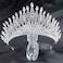 Aceorna Baroque Crowns and Tiaras Crystal Bride Wedding Queen Crowns for Brides and Bridesmaids Rhinestones Silver Tiara Decorative Bridal Princess Tiaras Hair Accessories for Women and Girls.