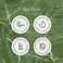 APRILSKIN Artemisia Korean Rice Toner100% Korean MugwortHydration Boost Facial TonerVegan, Cruelty Free, Low pH,No sulfates and Artificial FragranceKorean Skin Care6. 76 fl oz.