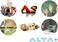 ALTA + Antibacterial Hand Wipes 90 Wipes (3Packs.