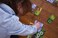 BLUE ORANGE GAMES Dragomino, My First Kingdomino- Kid Strategy Game for 2 to 4 Players- Ages 5 and Up.