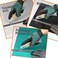 CUTTEREX Heavy Duty Shark Utility Knife with 10 Blades, Vinyl, Roofing, Carpet, Drywall and Roofing materials, Black Plastic Handle.