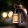 كولونيا RawChemistry Midnight Pheromone Infused للرجال 1 أونصة.