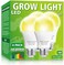 مصباح نمو LED من mfxmf، عبوة من 4 مصابيح A19.