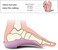 PCSsole 139 3/4 Shoe Insoles, Dark Blue, Men11. 5-13. 5/Women12. 5-14. 5.