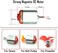 EUDAX 6 Set DC Motors Kit, Mini Electric Hobby Motor 3V -12V 25000 RPM Strong Magnetic with Shaft Propeller, 2 x AA Battery Holder,9V Battery Clip Connector,Plastic Wheels for DIY Science Projects.