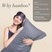 BEDELITE Body Pillow Case Cover, Rayon Made from Bamboo, Cooling Body Pillow Cover for Hot Sleepers and Night Sweats, BreathableSilky Soft Full Long Pillow Case (Grey, 20x54 Inches.