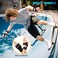 BOSONER Wrist Guard, BOSONER Wrist Guards for Roller Skating, Skateboarding, Wristsavers Brace Protective Gear for Adults/Kids/Youth (1 Pair.