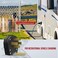 ENERLITES Straight Blade Angle Plug, AC Dryer Replacement Male Angle Plug, NEMA 14-30/50P, 50 Amp, 125V/250V, 66351-BK, Black.
