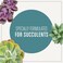 مزيج تربة Miracle-Gro لنباتات الزينة المنزلية: تربة مخصبة من البيرلايت للزراعة الداخلية، مصممة لتكون أقل عرضة للذباب.