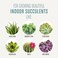مزيج تربة Miracle-Gro لنباتات الزينة المنزلية: تربة مخصبة من البيرلايت للزراعة الداخلية، مصممة لتكون أقل عرضة للذباب.