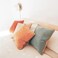 MONDAY MOOSE Decorative Throw Pillow Covers Cushion Cases, Set of 4 Soft Velvet Modern Double-Sided Designs, Mix and Match for Home Decor, Pillow Inserts Not Included (18x18 inch, Orange/Teal.