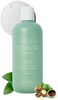 RATED GREEN Tamanu Oil Soothing Scalp Shampoo for Sensitive and Troubled Scalp - 13. 52 fl. Oz. - WomenMen.
