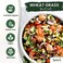 Nature Jims Sprouts Wheatgrass Seeds - 100% Organic Wheat Grass Seed for Sprouting - Cat Grass Planter Seeds, Rich in Vitamins, Fiber and Minerals - Non-GMO, Healthy Wheatgrass Sprout Growing Seed.