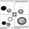 FRIMOONY 46mm Coin Capsules, with Foam Gasket and Plastic Storage Box, for Coin Collection, 2 Packs.