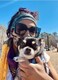 FEISEDY Sunglasses Womens Trendy, Oversized Square Shades, Pearl Inlay Cat Eye Frame UV400 Protection B2625.