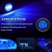 مصباح PSEQT 3 LED دائري داخلي للقارب، مصباح مؤخرة القارب، مصباح متعدد الاستخدامات، إضاءة قمرة القيادة البحرية، مقاوم للماء، مناسب لصيد الأسماك، قوارب الكاياك، اليخوت، القوارب الشراعية (أزرق، 10 قطع).