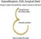 LOVEBODY JEWELRY Hypoallergenic Hinged Hoop Nose Rings 20G 18G 16G 14G 12G 10G 8G Diameter 5mm to 16mm 316L Surgical Steel Septum Ring Body Piercing Jewelry Helix Cartilage Earrings.