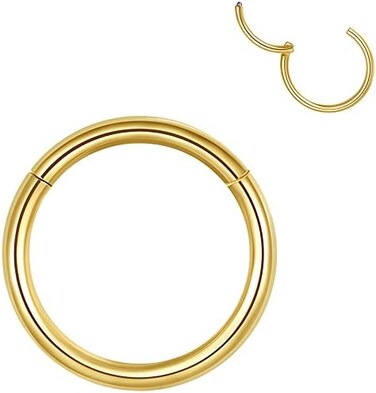 LOVEBODY JEWELRY Hypoallergenic Hinged Hoop Nose Rings 20G 18G 16G 14G 12G 10G 8G Diameter 5mm to 16mm 316L Surgical Steel Septum Ring Body Piercing Jewelry Helix Cartilage Earrings.