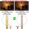 LiteHistory E26 LED Bulb Dimmable 6W led Bulb Equal 60 Watt Light Bulb Warm White 2200K Amber Edison Bulb AC120V 450lm T10 led Bulb for Rustic Pendant,Industrial Wall scones E26 Light Bulbs 6Pack.