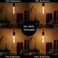LiteHistory E26 LED Bulb Dimmable 6W led Bulb Equal 60 Watt Light Bulb Warm White 2200K Amber Edison Bulb AC120V 450lm T10 led Bulb for Rustic Pendant,Industrial Wall scones E26 Light Bulbs 6Pack.