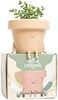 Original Earthlings Indoor Plant Pot, Unique Cute Plastic Flower Pot with Face, 3. 5 Inch Succulent/Cactus Planter, Plant Lover Gift, Decorative Novelty Planter.
