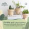 Original Earthlings Indoor Plant Pot, Unique Cute Plastic Flower Pot with Face, 3. 5 Inch Succulent/Cactus Planter, Plant Lover Gift, Decorative Novelty Planter.