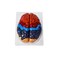 QWORK Life-Size Anatomical Brain Model, Color-Coded Human Regional Brain Model 2 Parts.