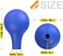Biomed Solutions 5Pcs Pipette Rubber Bulb Dropper Rubber Caps Laboratory Suction Ball,Pear Shaped Fit for 1ml 3ml 5ml 10ml 15ml 20ml Pipettor.