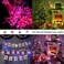 BrizLabs Color Changing Fairy Lights, 66ft 200 LED Christmas Lights Multicolor with Remote, White Xmas Tree Lights with Timer, USB Plugin le Fairy String Lights for Indoor Xmas Party Tree Bedroom.