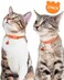 Taglory Reflective Cat Collar with Bell and Safety Release, 2-Pack Girl Boy Pet Kitten Collars Adjustable 19-32cm Orange.