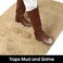 HOMEIDEAS Doormat Indoor Entrance, 32"x20", Highly Absorbent Chenille Muddy Dog Washable Non Slip Front Welcome Door Floor Mat for Entryway, Beige.