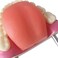 EVOTECH SCIENTIFIC Dental Teeth Care Model, W/Giant Toothbrush, 32 Teeth, Kids Dental Care Teaching Demonstration Model, Adult Standard Typodont Demonstration Teeth Model.
