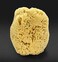 Constantia Beauty Real sea Sponge for Men - Extra Large 6"-7", Totally Natural, Kind on Skin for an invigorating Shower, Supplied in&hellip;.