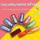 Bertiveny School Teacher Stamps for Classroom 8-Piece Set, Multicolor.