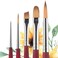 PRINCETON ARTIST BRUSH CO. Velvetouch، سلسلة 3950، طلاء للأكريليك والزيت والألوان المائية، مجموعة من 5 رؤوس: رأس نقطي 5/0، رأس تظليل بزاوية، رأس دائري 8، رأس بيضاوي 8، رأس دائري 2.