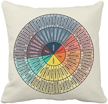 Takao Wheel of Emotions Feelings Velvet Throw Pillow Covers Cozy Square Throw Pillowcases Home Decoration for Bed Couch Sofa Living Room Cushion Covers 18"X18".
