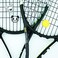 Tannius Tennis Racket Vibration Dampener 10 Pack, with 4 Distinctive Categories of Designs, Tennis Shock Absorber, Excel on The Tennis Court, Perfect Tennis Gift.