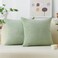 Home Brilliant Holiday Decor Solid Plush Corduroy Striped Square Spring Pillow Covers Set of 2 Cushion Covers for Living Room Decor, 50cm, 20 x 20 Inch, Sage Green.