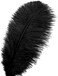 Ballinger 24pcs Natural Black Ostrich Feathers 10-12inch (25-30cmfor Wedding Party Centerpieces，Flower Arrangement and Home Decoration.