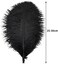 Ballinger 24pcs Natural Black Ostrich Feathers 10-12inch (25-30cmfor Wedding Party Centerpieces，Flower Arrangement and Home Decoration.