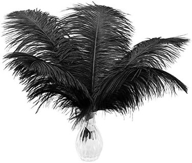 Ballinger 24pcs Natural Black Ostrich Feathers 10-12inch (25-30cmfor Wedding Party Centerpieces，Flower Arrangement and Home Decoration.