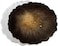Gartful Large Round Resin Tray Mold-13 inch, Irregular Silicone Serving Tray, Geode Agate Epoxy Mold for Coaster, Fruit Board, Dessert Dish, Resin Painting Art, Jewelry Storage Plate, Home Decoration.