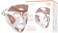 Dr Dennis Gross Dr. DRx SpectraLite Dpl FaceWare Pro: Smooths Full Face Fine Lines and Wrinkles, Firms Skin, Prevents Acne Flare-Ups, and Reduces Redness and Irritation.