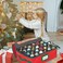 HOLDN&rsquo; STORAGE Underbed Christmas Ornament Storage Container Box with Dividers - Convenient Durable 2 Individual Removable Trays Fits Up to 48-3&rdquo; Ornaments, Red.