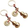 Kingzhuo 2 Pieces Wu Lou Key Chain Beautiful Gourd Keychain Lucky Keychain Set with Feng Shui Coins Solid Key Rings for Good Luck Prosperity Can Put a Lucky Note Inside (Opened from The Bottom.
