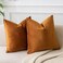 JUSPURBET Rust Velvet Throw Pillow Covers 16x16 Inches Set of 2 with Zipper Decorative Soft Solid Pillow Covers for Couch Bed Sofa Living Room.