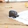 canjoyn Cast Iron Paperweight Garden Home Office Desk Decor Collection Animal Figurine (Elephant.