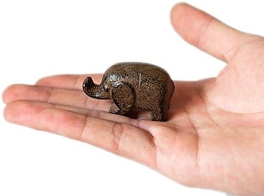 canjoyn Cast Iron Paperweight Garden Home Office Desk Decor Collection Animal Figurine (Elephant.